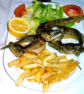 06_madrid_dinner