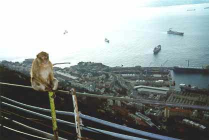 63_gibraltar