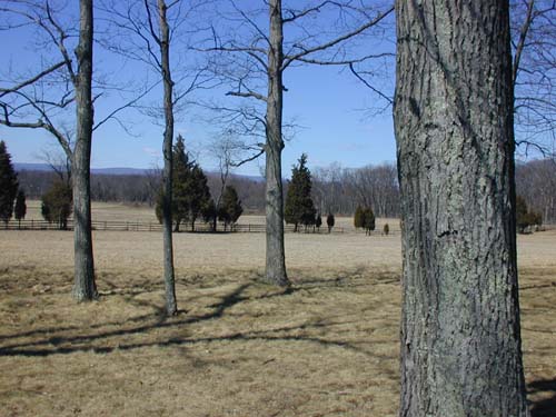 DSCN0006