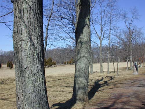 DSCN0007