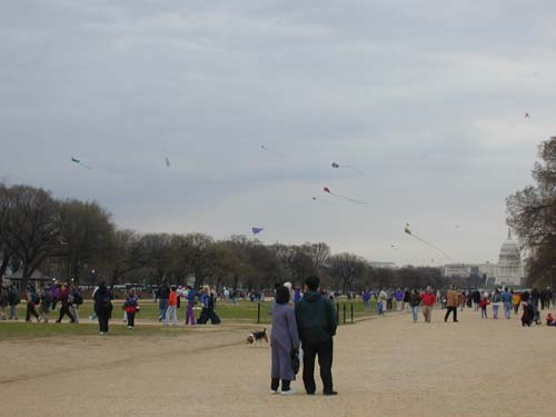 DSCN0078