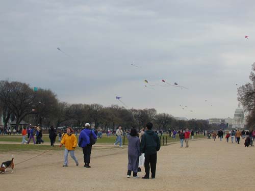 DSCN0079