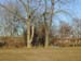 DSCN0019