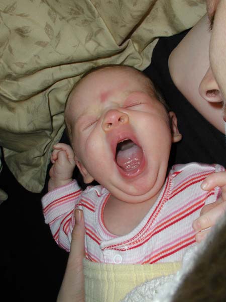 007_what_a_yawn