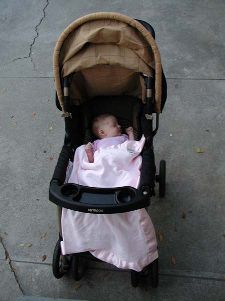 017_goin_for_a_walk