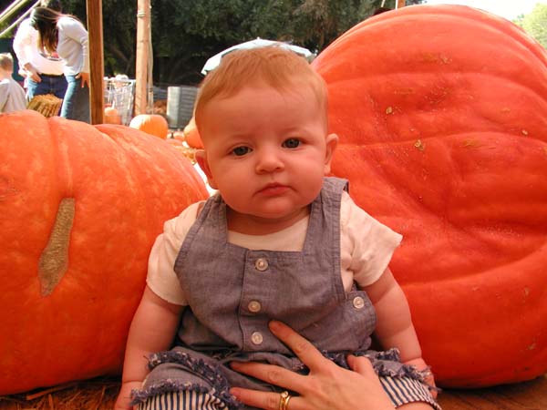 09_A_visit_to_the_Pumpkin_Patch